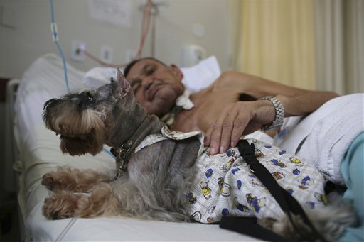 Perros ofrecen terapia en hospital de Brasil (Fotos)