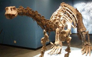 Descubren colágeno conservado en un fósil de dinosaurio del primer Jurásico
