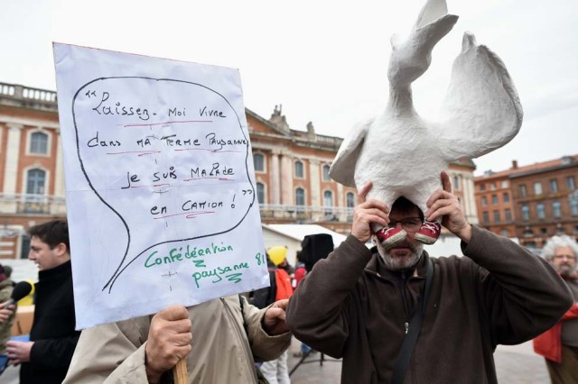 Breeders of the French farmers union 'Confederation paysanne' demonstrate with a placard reading 'Let me live on my farm, I got infected on a truck' at the Place du Capitole in Toulouse, southwestern France, February 12, 2017, to demand a rethinking of the poultry sector in the South-West. An investigation into the spread of the avian flu virus in the south-west of France has ben recently launched to find out if contaminated batches of birds have been sold knowingly to breeders, thus promoting the spread of the virus. / AFP PHOTO / REMY GABALDA