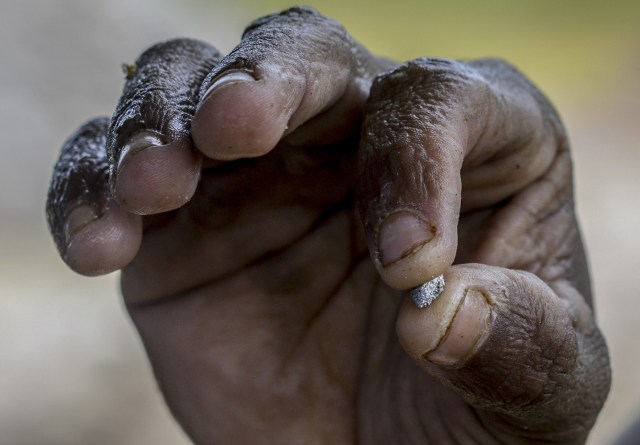 Jorge Sanchez, 24, shows a gold-mercury amalgam at a gold mine in El Callao, Bolivar state, southeastern Venezuela on February 25, 2017. Although life in the mines of eastern Venezuela is hard and dangerous, tens of thousands from all over the country head for the mines daily in overcrowded trucks, pushed by the rise in gold prices and by the severe economic crisis affecting the country, aggravated recently by the drop in oil prices. / AFP PHOTO / JUAN BARRETO
