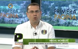 Negal Morales: El candidato de AD es Henry Ramos Allup