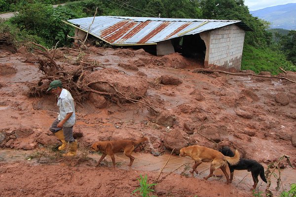 Fuerza de dos quebradas reclamó cauce y estremeció a vecinos en Táchira