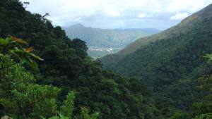 Reportan 5 personas desaparecidas en el cerro El Ávila en Caracas este #21Oct