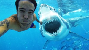 VIRAL: Este buzo logró increíble escape a un ataque de tiburones