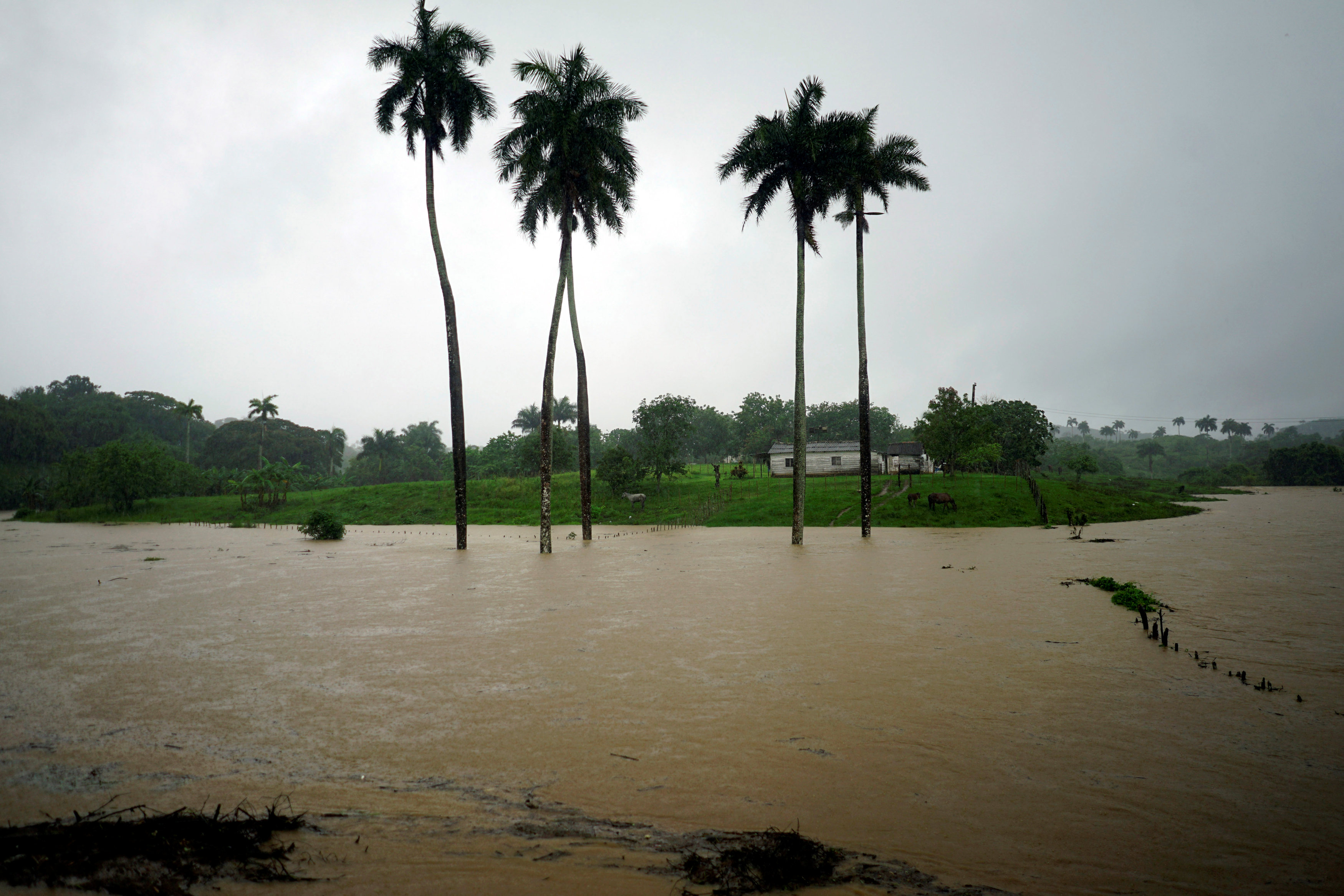 Florida en alerta ante la llegada de la tormenta Alberto