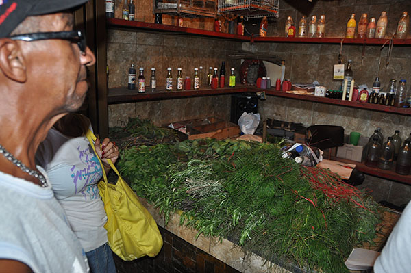 Varguenses sustituyen fármacos con plantas medicinales