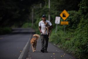 El guatemalteco que volvió a casa para rescatar a sus perros tras la tragedia