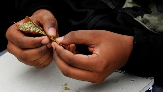 Francia da un primer paso hacia la autorización de la marihuana medicinal