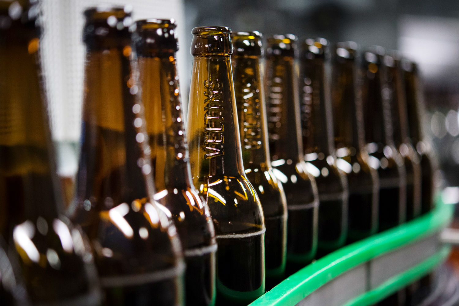 El calor duplicó consumo de cerveza en Alemania, fabricantes se quedan sin botellas