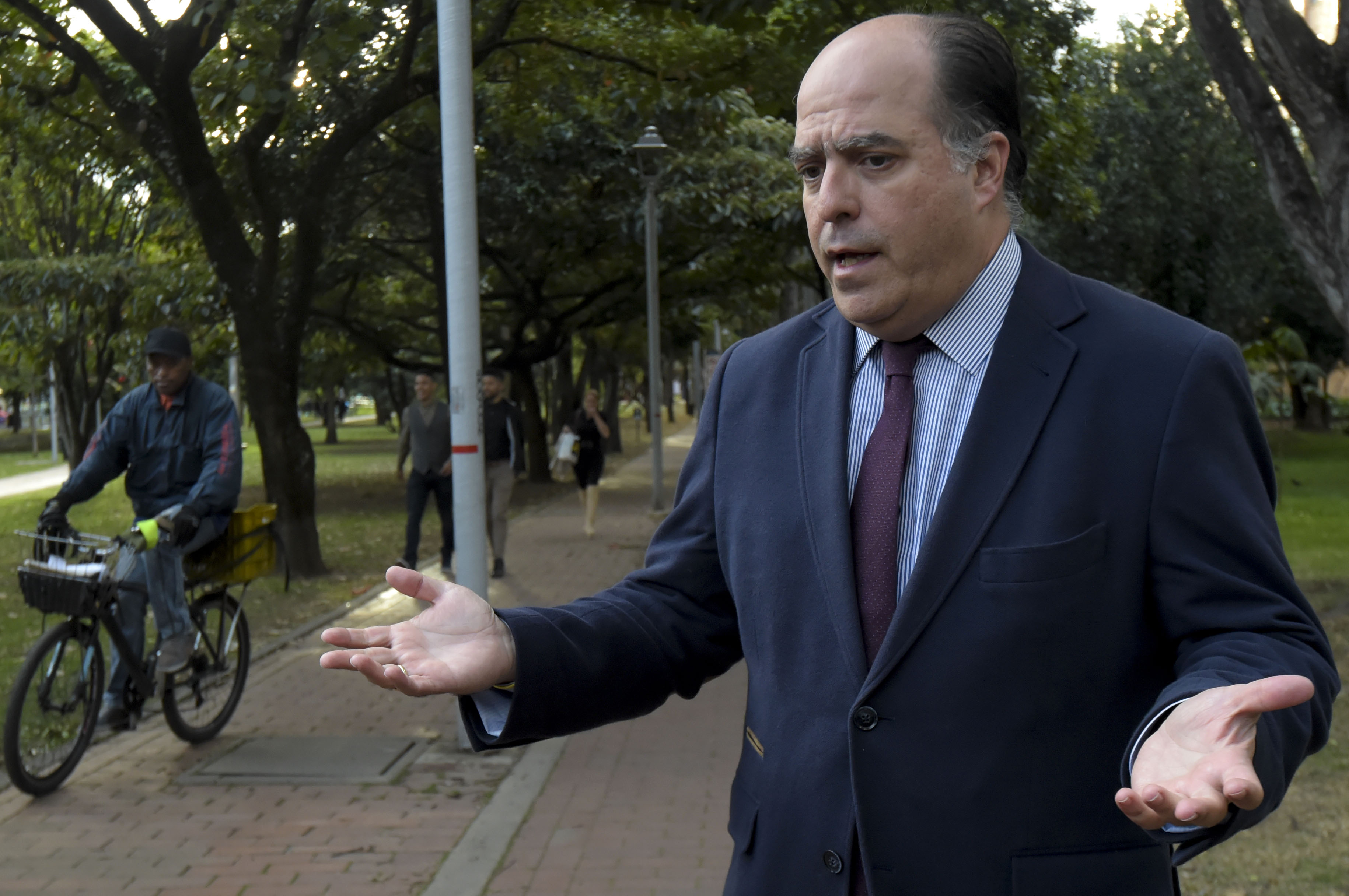 TSJ pide a Colombia extradición del diputado Julio Borges