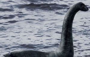 El monstruo del Lago Ness podría ser una anguila gigante