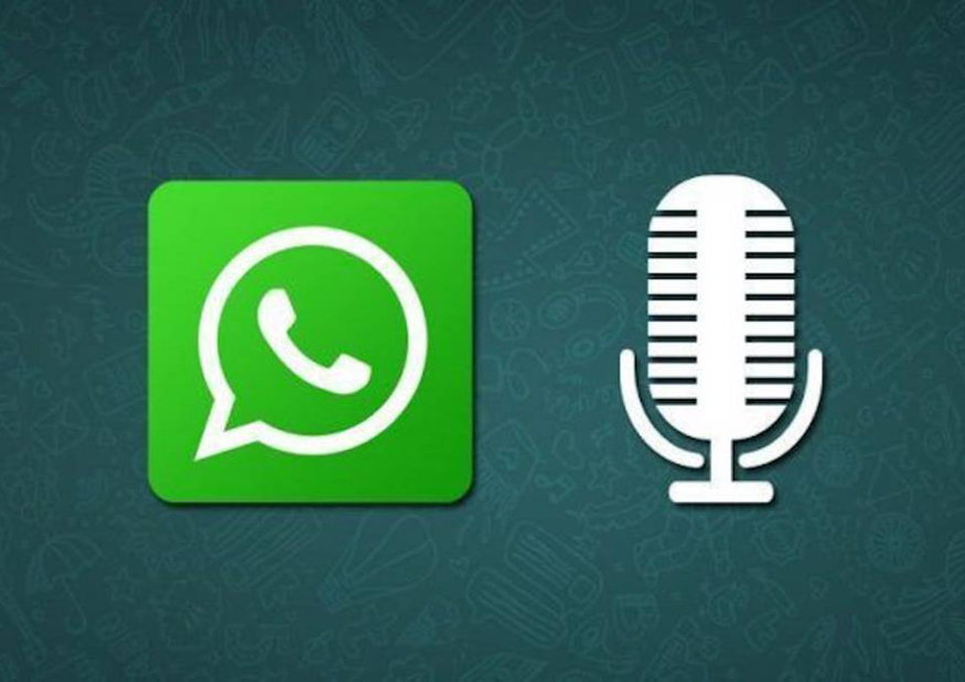WhatsApp: cómo activar el bot que permite transcribir los audios a texto