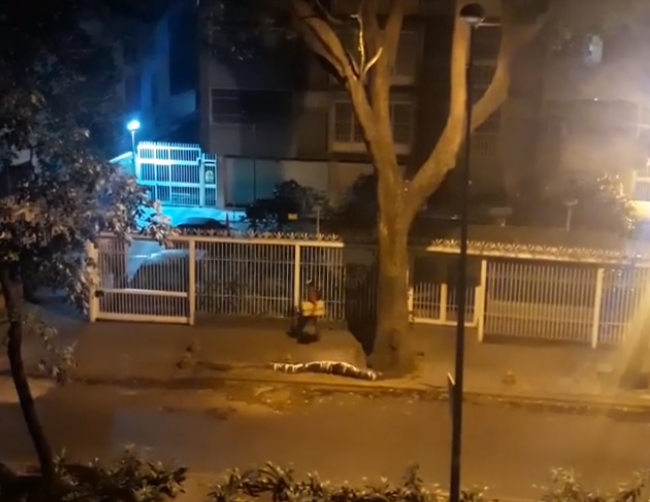 “Y va caer, y va caer” Las consignas contra Maduro de un hombre que escarbaba la basura en Caracas (VIDEO)