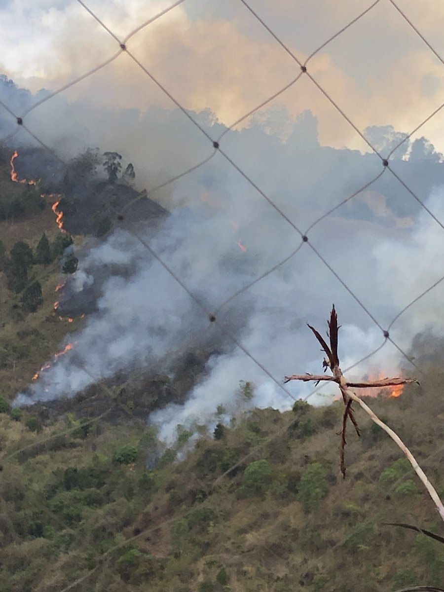 Reportan fuerte incendio forestal en urbanización Cerro Verde de Baruta (Fotos)