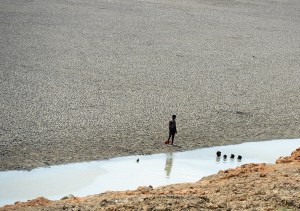 Al menos 78 muertos por la ola de calor en India, según nuevo balance