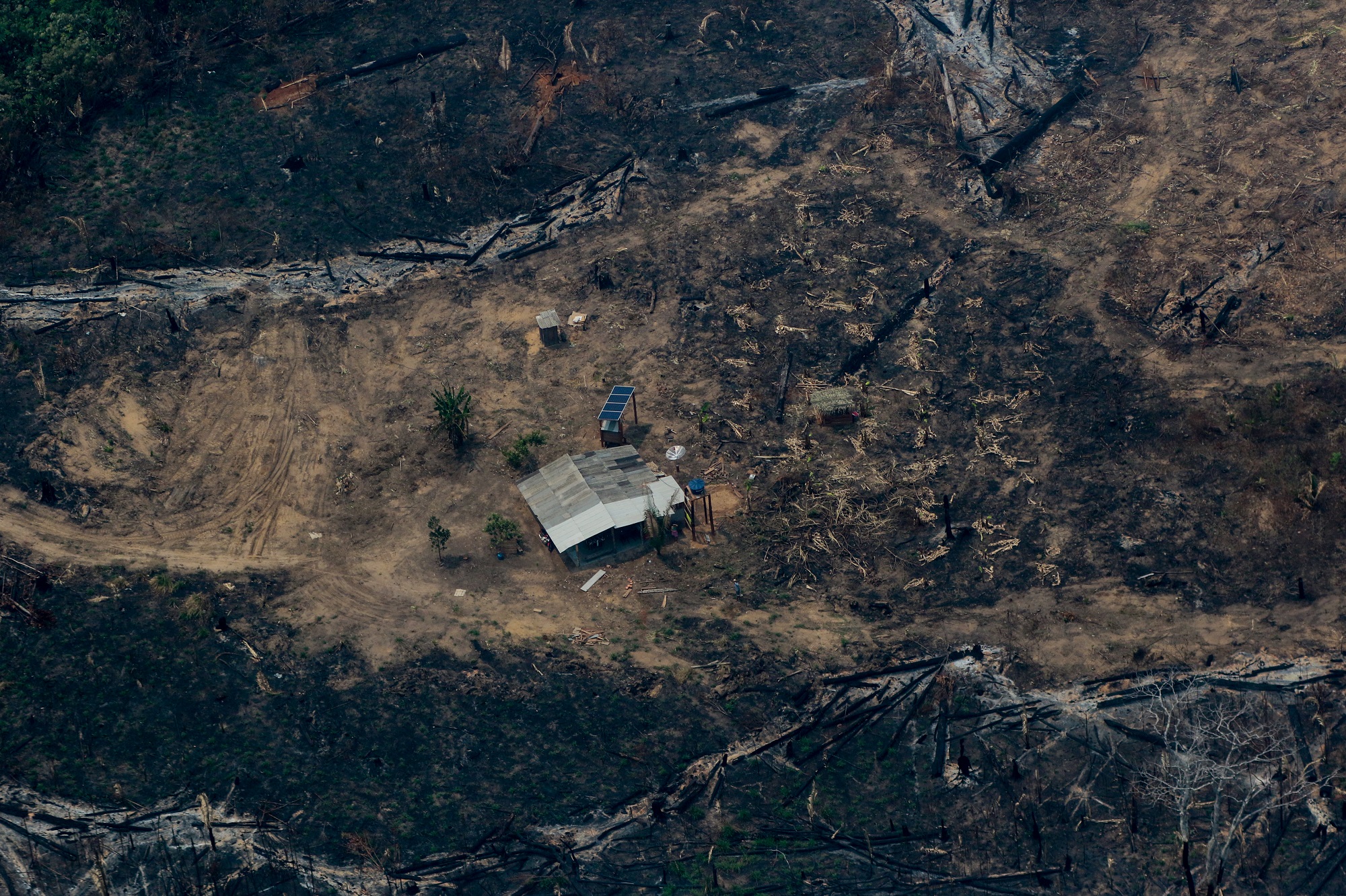 Incendios se reducen en la Amazonía brasileña