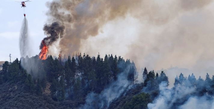 El fuego en Canarias queda estabilizado y evacuados vuelven a sus hogares
