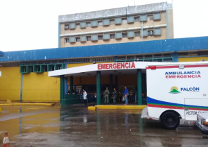 Siamesas nacidas en Falcón podrían ser trasladadas a Caracas para una cirugía