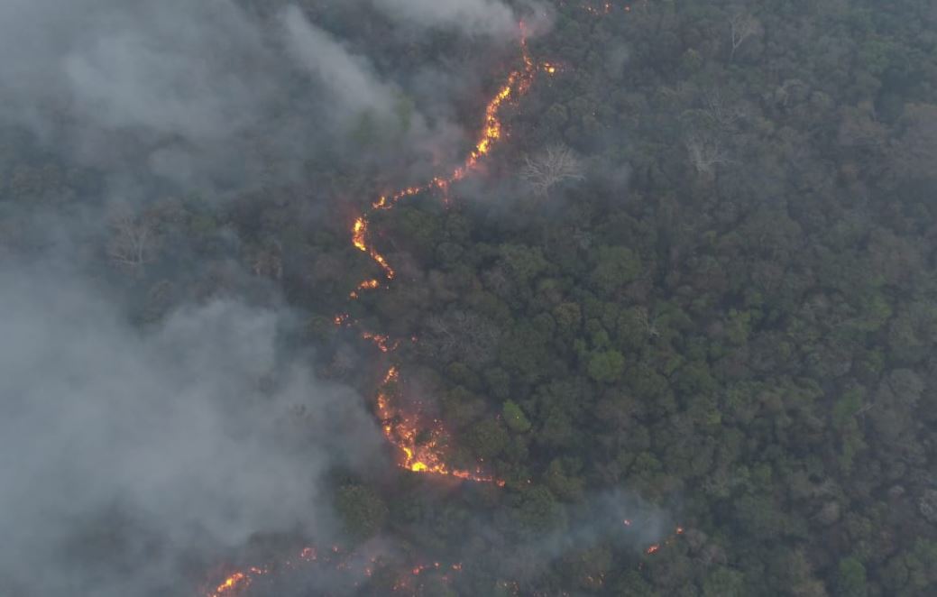 Paraguay se declaró en emergencia ambiental por los incendios forestales