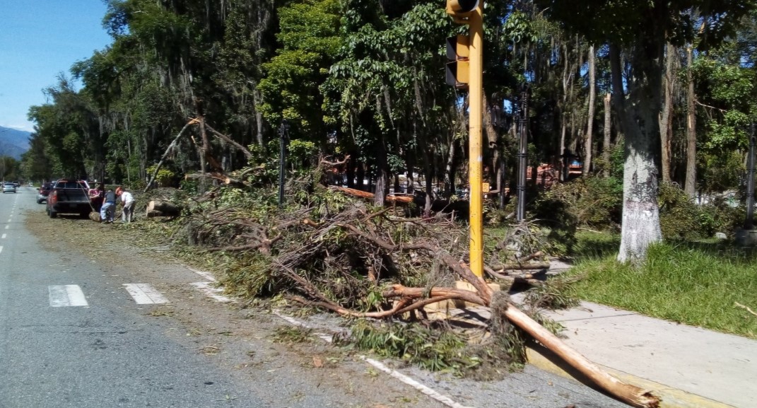 Así amaneció la avenida Urdaneta en Mérida luego del torrencial aguacero de anoche #26Oct (Fotos)