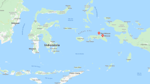 Alerta de tsunami en Indonesia tras un terremoto de magnitud 7,4