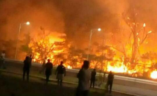 Incendio forestal arrasó con el parque José Tadeo Arreaza en Guanta (VIDEOS)