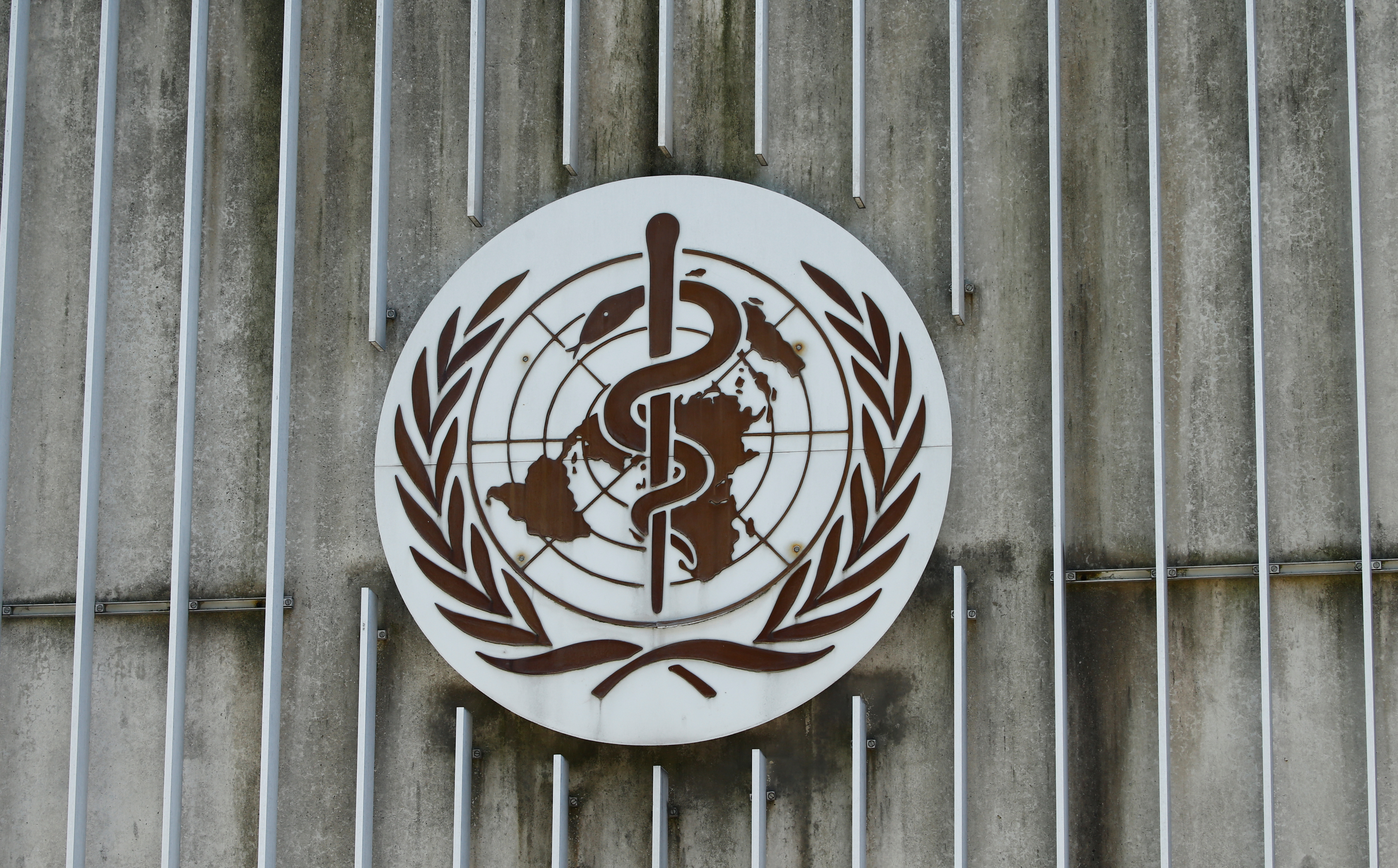 Comienza investigación de la OMS sobre gestión global de la pandemia