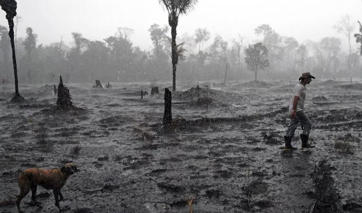 Deforestación en la Amazonia brasileña batió nuevo récord en mayo