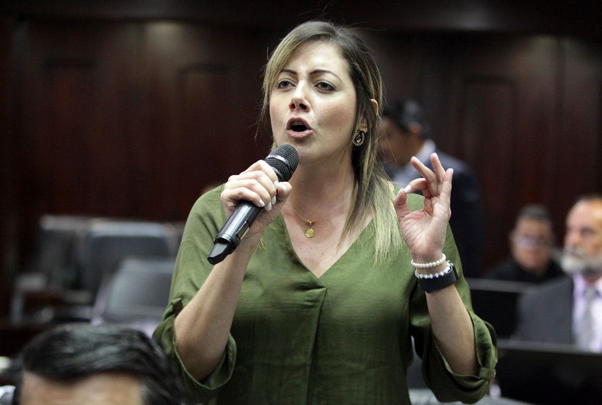 Diputada Jaramillo: Exigimos elecciones libres, justas y verificables