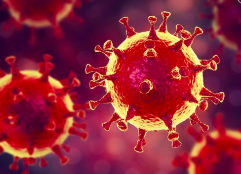 Colorado oculta nuevas muertes relacionadas con coronavirus por segundo día consecutivo