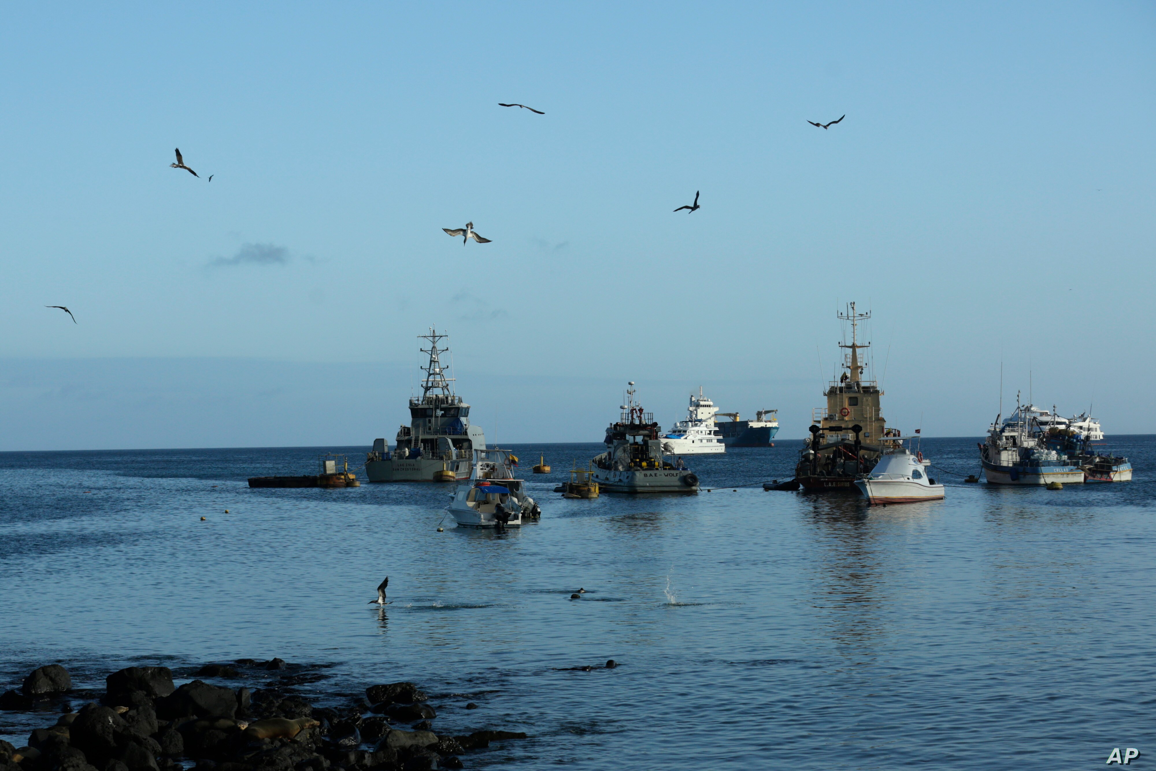 “Preocupa muchísimo”: Alerta pero sin solución ante presencia de barcos chinos cerca de Islas Galápagos