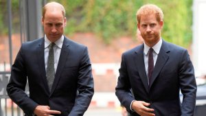 Los problemas entre los príncipes William y Harry nunca se solucionarán a menos que se separen de sus esposas, afirma experto real
