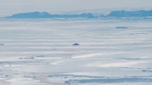 Detectaron un derretimiento de hielos provocado por una corriente cálida en la Antártida