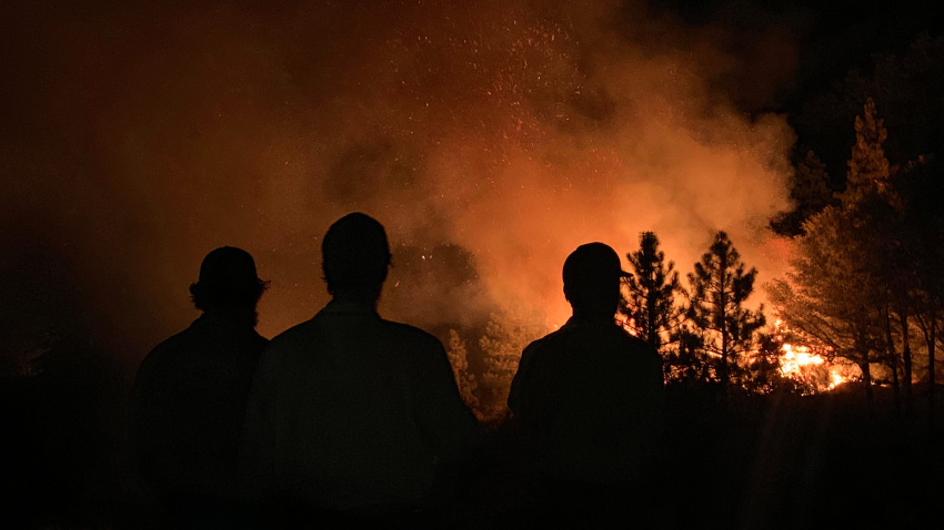 La pandemia NO frenó el avance de la crisis climática en 2020, revela importante informe