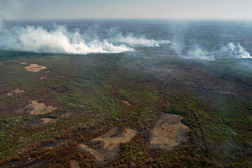 Un paraíso de ecoturismo reducido a cenizas en el Pantanal brasileño (FOTOS)