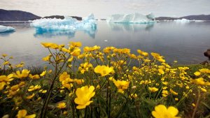 “Detectives del clima” descubrieron un récord de frío ártico perdido hace 28 años en Groenlandia