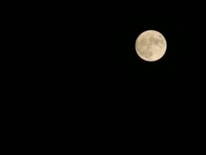 Micro luna llena ilumina el cielo nocturno