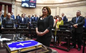Senadora Vega pidió al Gabinete de Argentina defender los DDHH en Venezuela (Video)