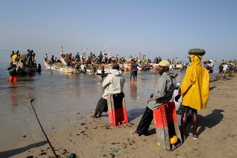La extraña enfermedad de piel que afecta a más de 500 pescadores en Senegal y que inquieta a la ciencia