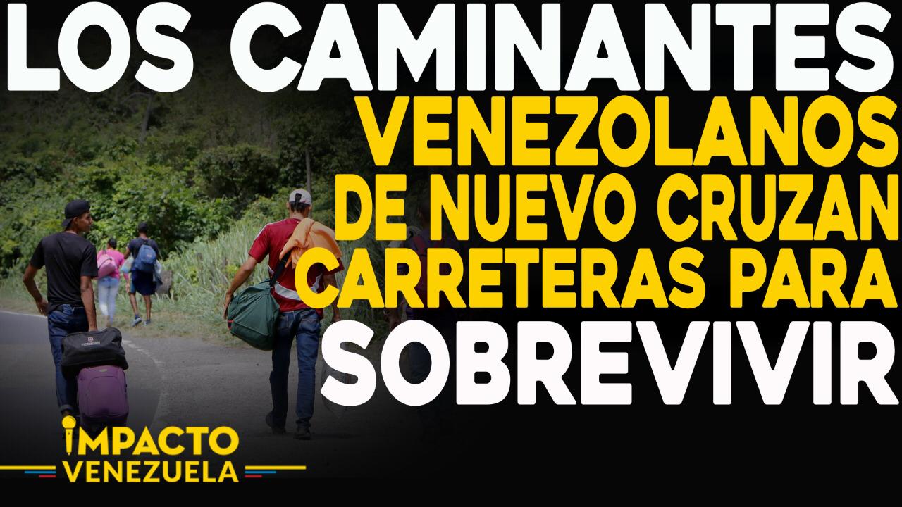 Impacto Venezuela: Caminantes venezolanos de nuevo cruzan carreteras para sobrevivir (Video)