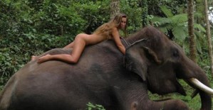 “Para mi todo es arte”, la polémica expresión de una modelo tras posar desnuda encima de un elefante (Fotos)