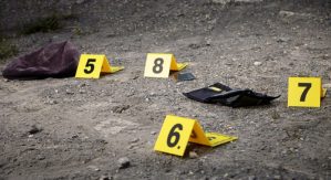 Depravado violó y asesinó a una niñera peruana en un parque de Nueva Jersey