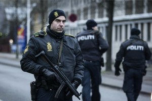 Detenidas catorce personas en Dinamarca y Alemania por preparar atentados