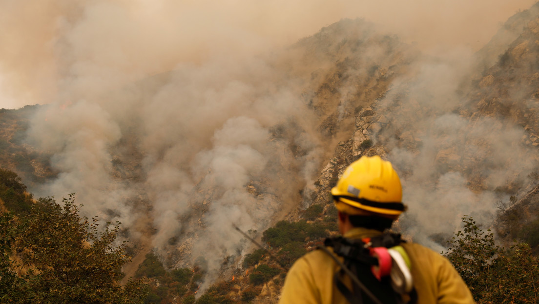 Hallaron en California una secuoya gigante tras los devastadores incendios forestales