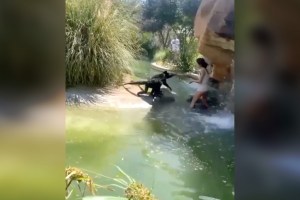 Captaron a una mujer mientras alimentaba a monos con Cheetos en zoológico de Texas (Video)