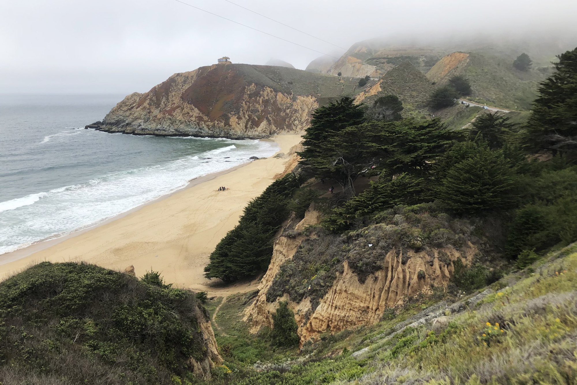 Gran tiburón blanco atacó brutalmente a un surfista en California