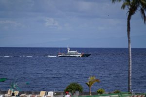 Al menos cuatro muertos, 29 desaparecidos y un superviviente en barco cerca de Canarias