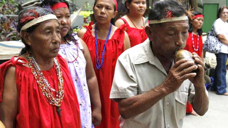 Indigenous leaders call for stronger rights as UN nature summit begins