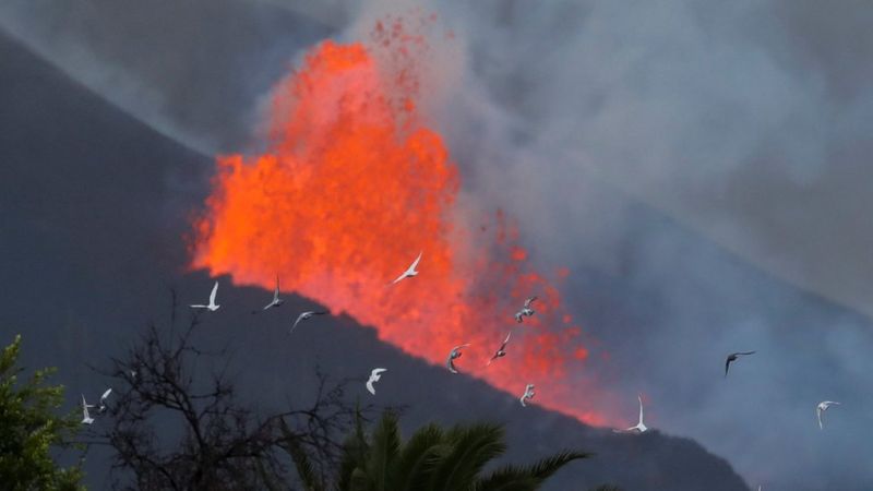 Terremoto de magnitud 4,9 sacudió la isla de La Palma, el mayor desde la erupción del volcán