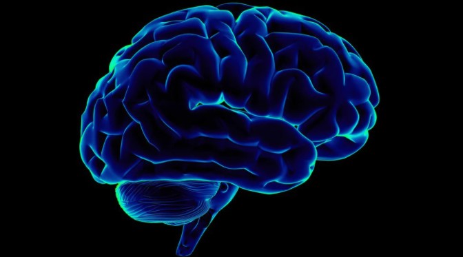 Los casos leves de Covid-19 también podrían acelerar el envejecimiento cerebral